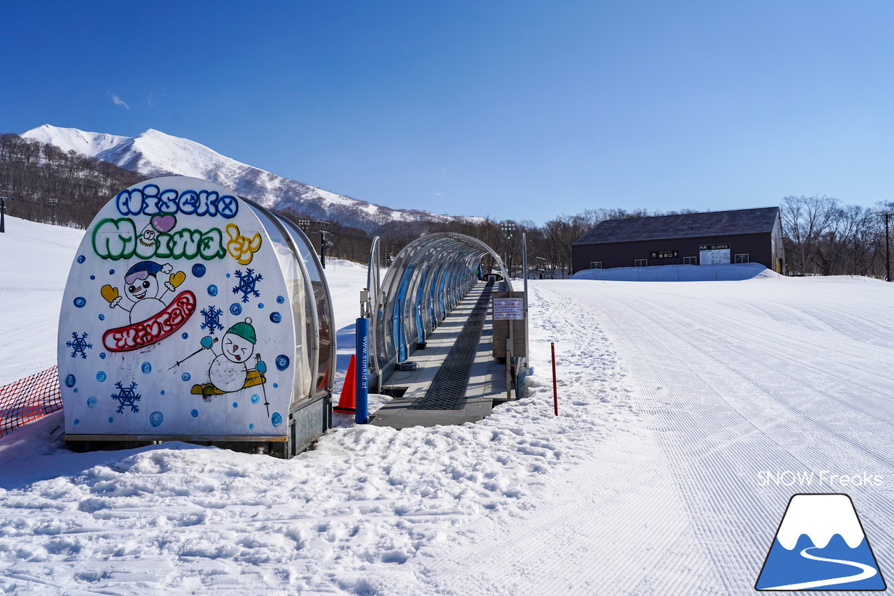 ニセコモイワスキーリゾート 春シーズンの到来を告げる青空の下、待望のポールトレーニング再開で心解き放たれるスキーヤーたち(^^)/